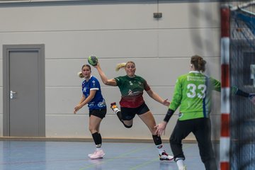 Bild 227 - F HSG Kremperheide/Muensterdorf - HSG Holstein Kiel/Kronshagen : Ergebnis: 31:26